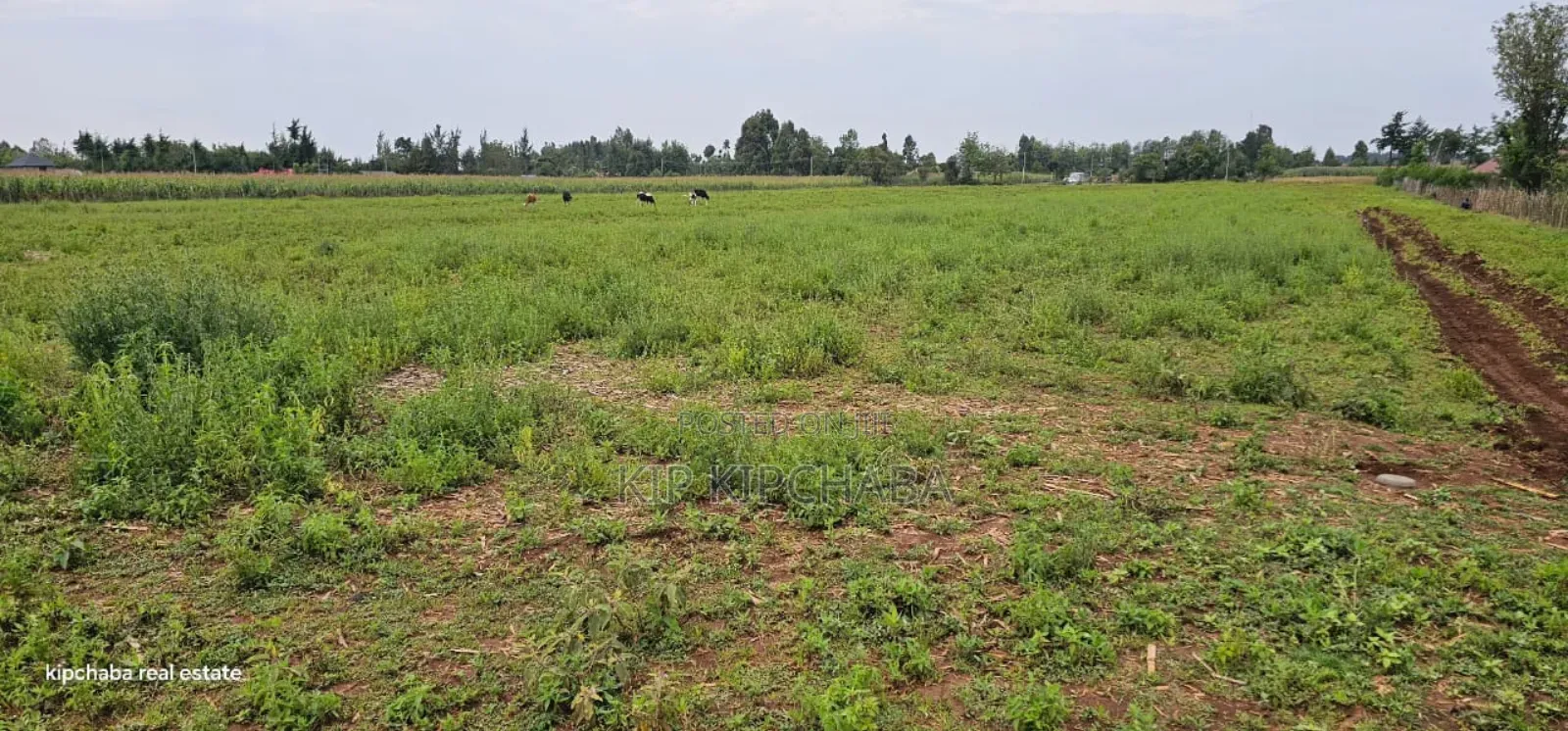 Commercial Plots Touching Highway Illula Eldoret