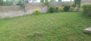 5bdrm Farm House in Ruruma for rent
