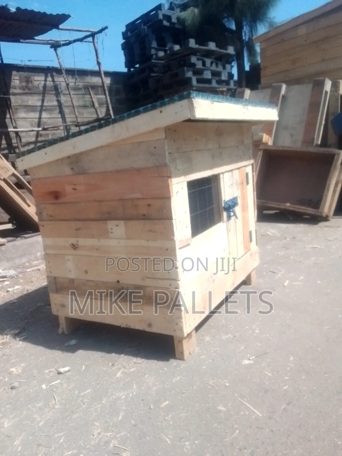 Dog Kennel and Puppies