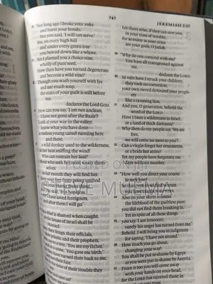 English Standard Bible Large Print.