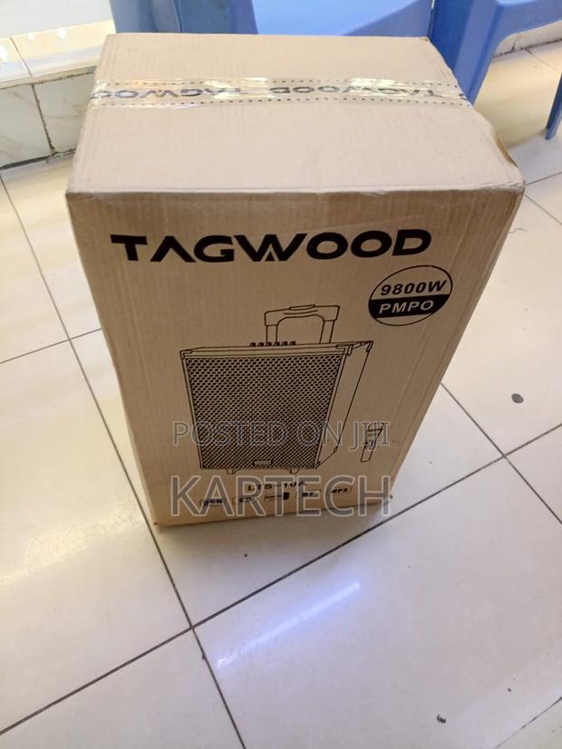 Tagwood 10 Inch Rechargeable Outdoor Speaker With 1 Microphone