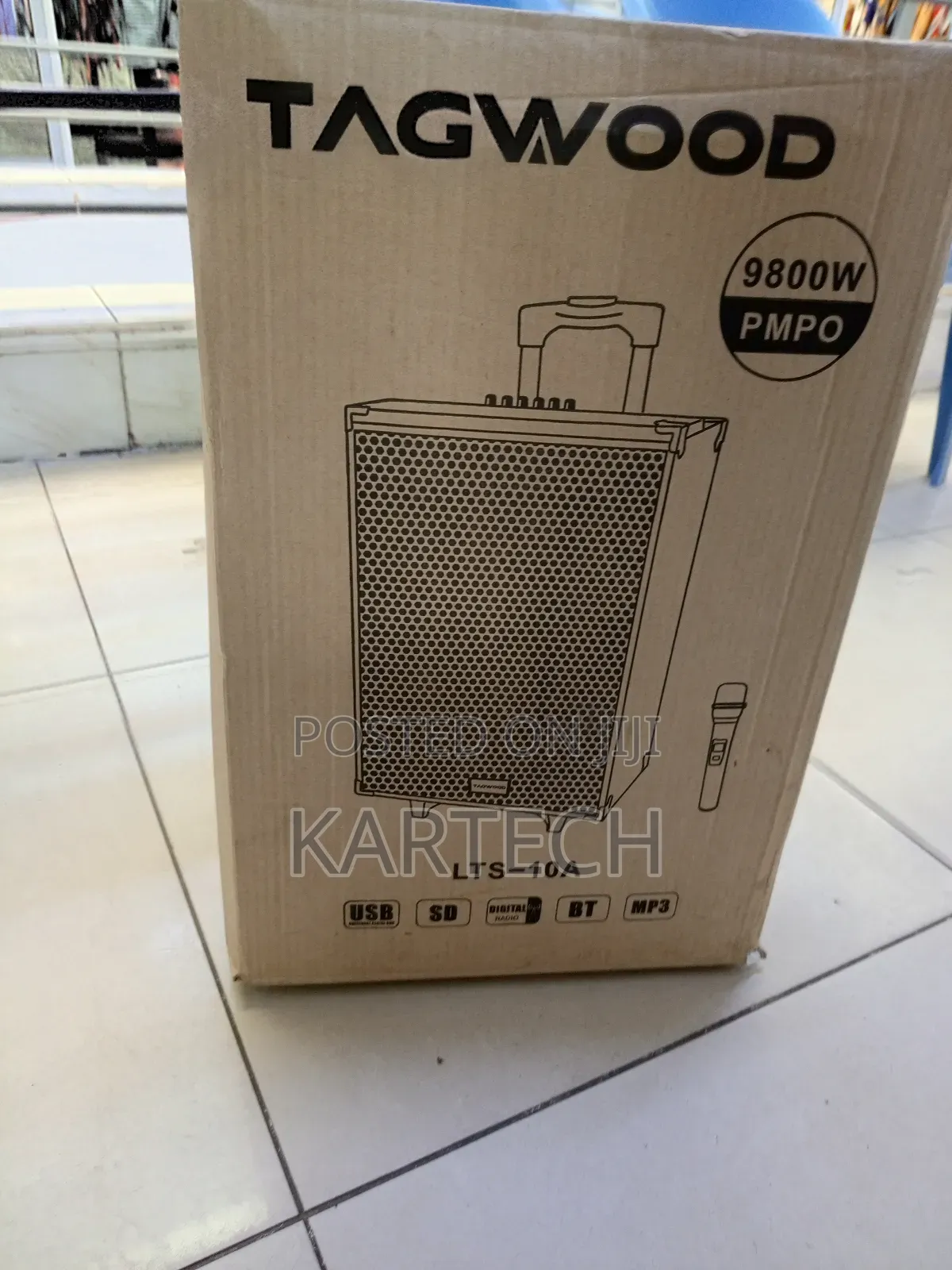 Tagwood 10" Portable Trolley Speaker Usb,Fm,Wireless Microphone