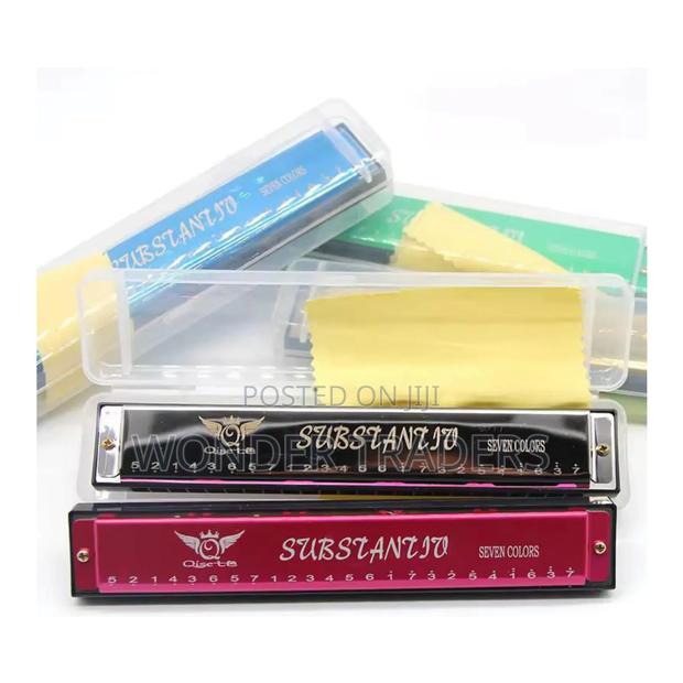 24 Holes Metallic Harmonica - main view