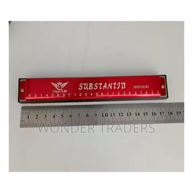 24 Holes Metallic Harmonica With Casing - main view