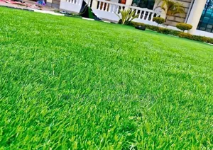 50mm Artificial Grass Carpet Weather Resistant Synthetic Long Lasting