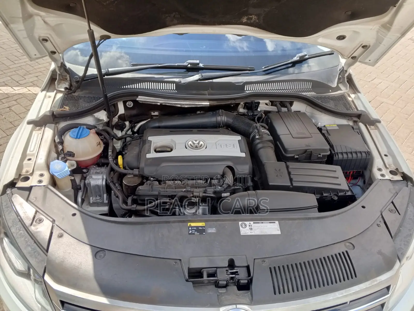 Volkswagen Passat S 4dr Sedan (1.8L 4cyl Turbo 5M) 2015 White