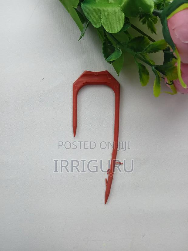 Driplines Holding - main view