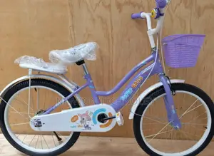 Size 20 Kids Bike