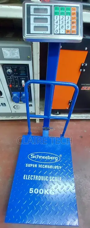 500kg Scale Schneeberg Platform Scale