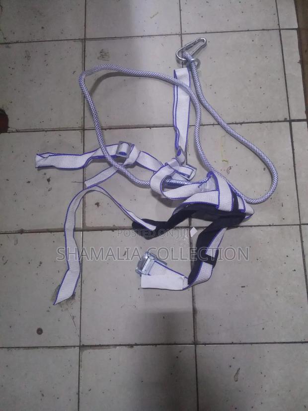 Safety Belts