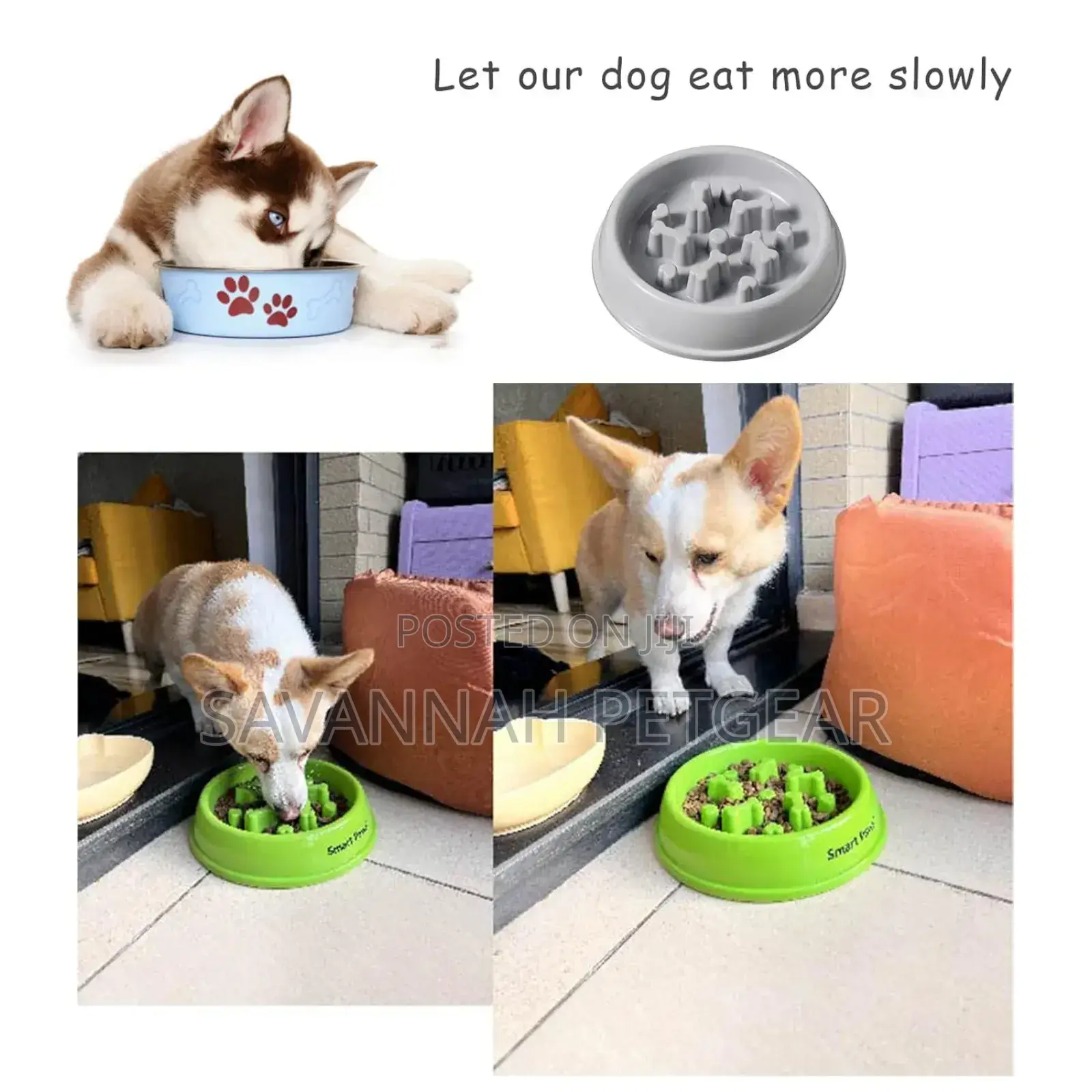 Pet Puppy Dog Slow Feeder Bowl for Dog Food and Treats