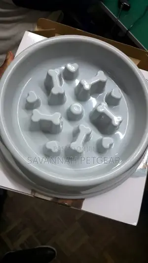 Pet Puppy Dog Slow Feeder Bowl for Dog Food and Treats