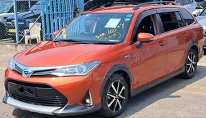 Toyota Corolla Fielder 2019 Orange
