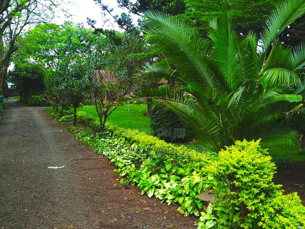 Prime Plot for Sale in Westlands - thumbnail 4