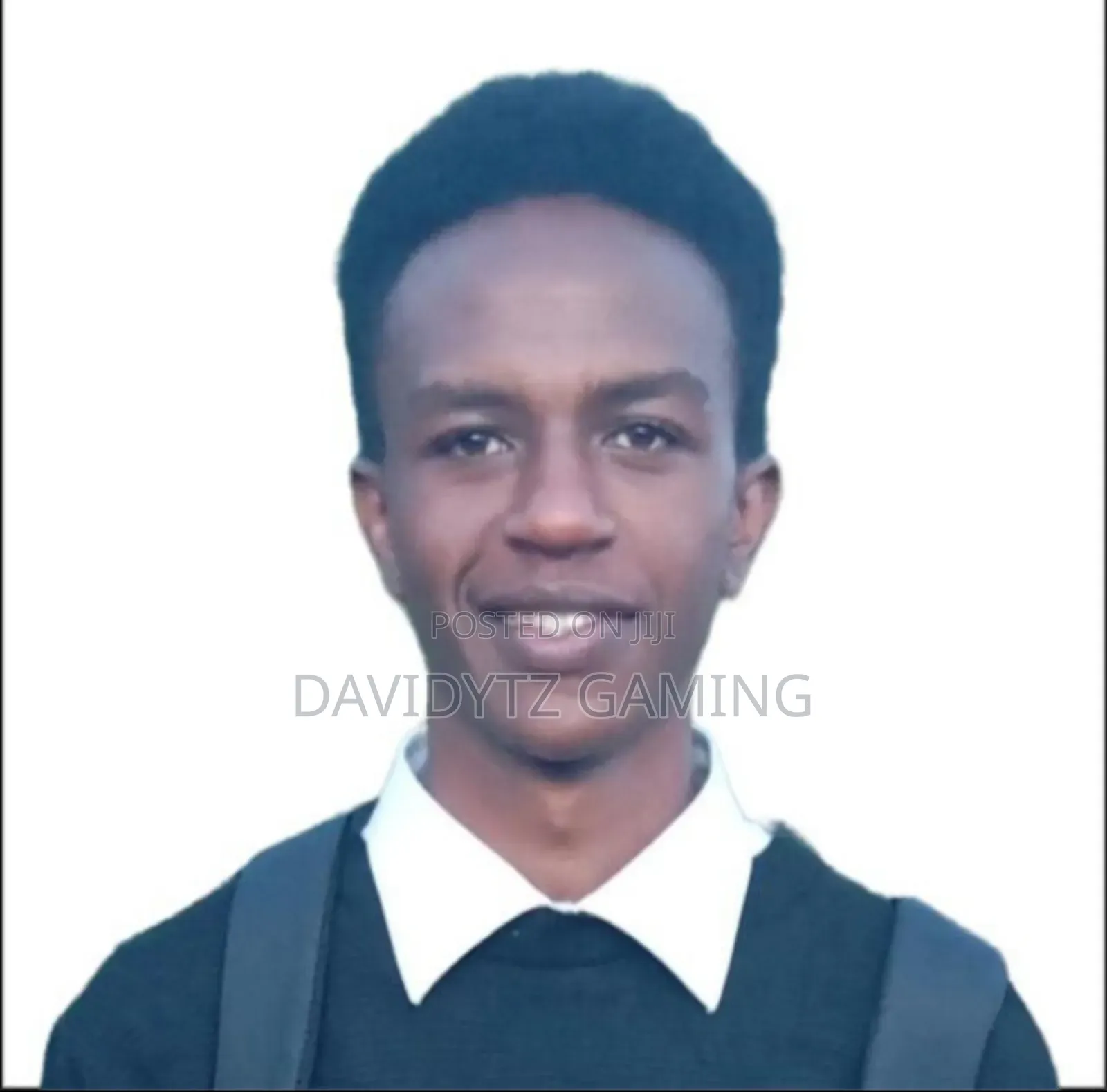 David Richu Curriculum Vitae