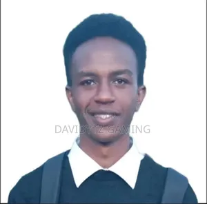 David Richu Curriculum Vitae