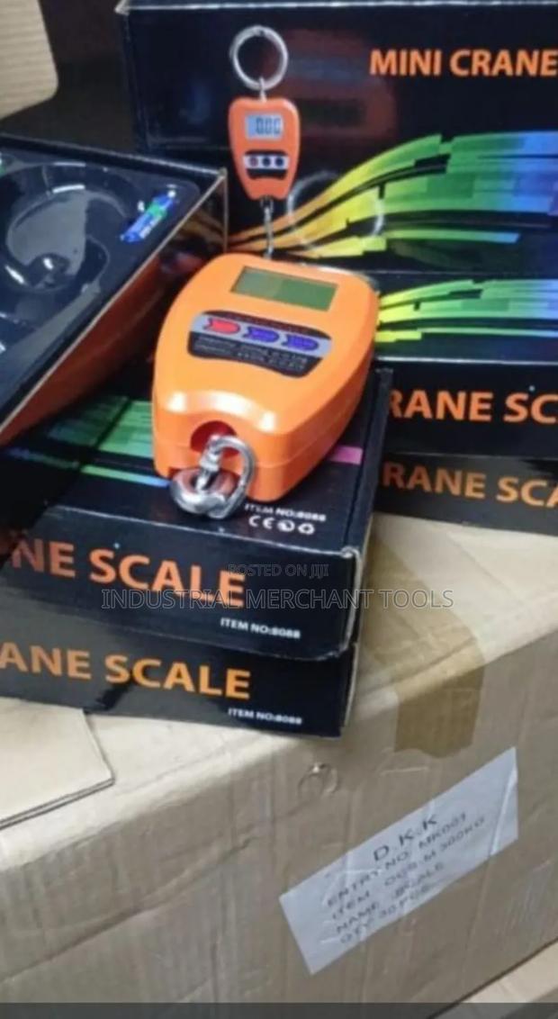 Portable 200kgs Crane Scale - main view