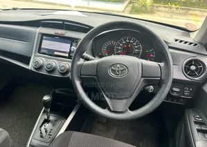 Toyota Corolla Fielder 2019 Black