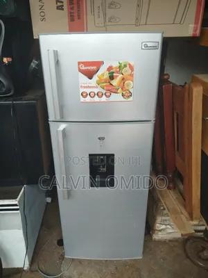 Technician for Fridge Repairs Services