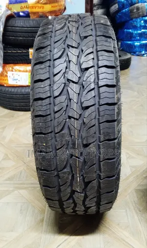 255/70r15 Dunlop At5