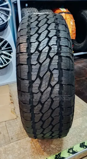 265/70r16 Bridgestone At002