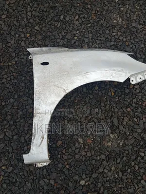 Suzuki Swift 2017-2020 Right Wing