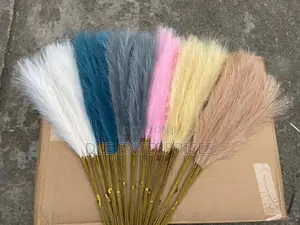 Pampas Grass
