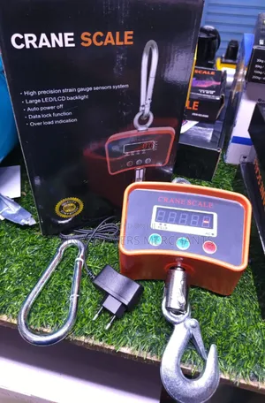 500kgs Digital Weighing Crane Scale