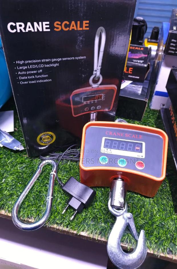 500kgs Digital Weighing Crane Scale