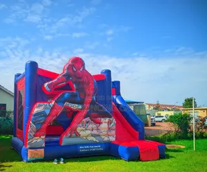 Bouncing Castle for Hire