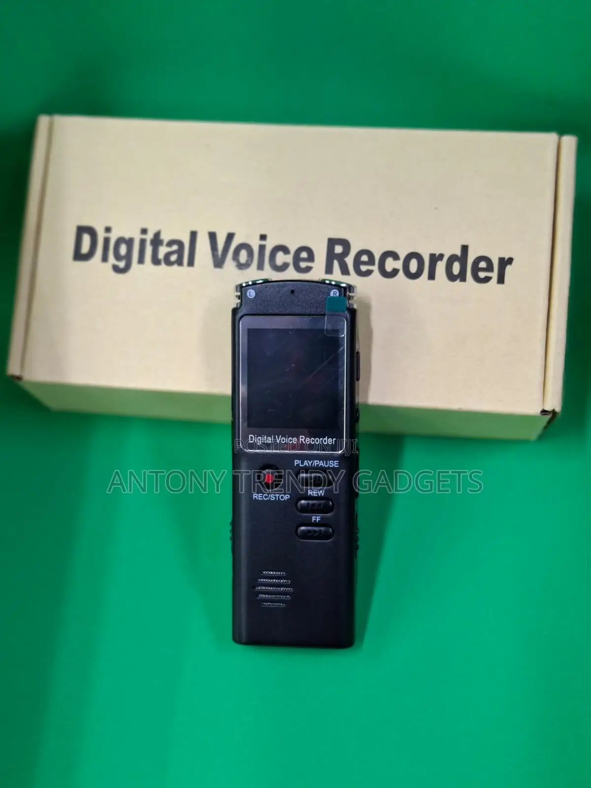 Slim Digital Audio Recorder With Playback & File Transfer