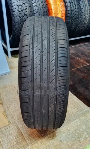 225/55r19 Toyo