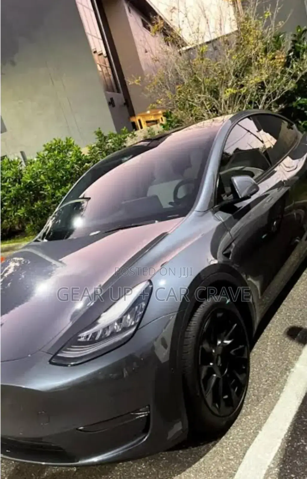 Paint Protection Film