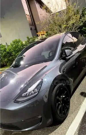 Paint Protection Film