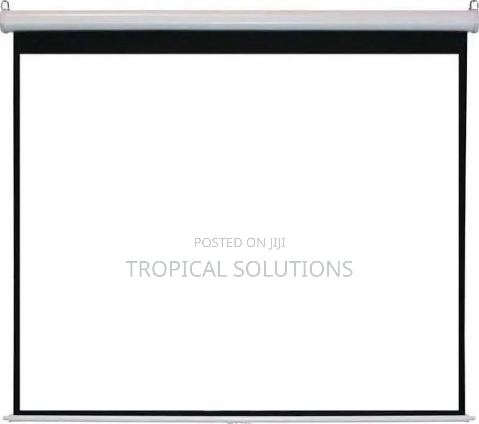 Manual Projector Screen 240cm×240cm