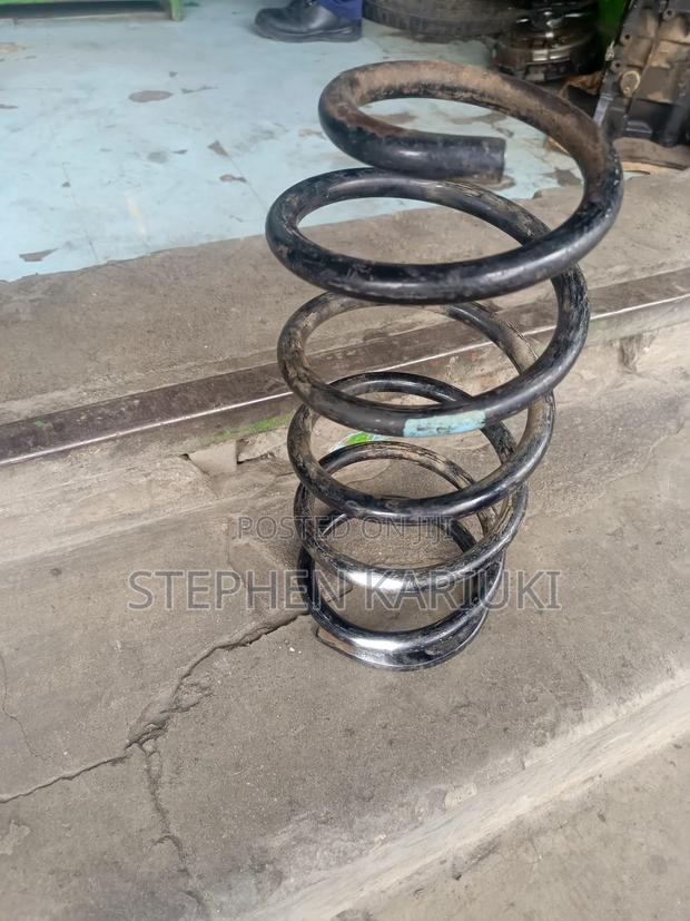 Prado 120 150 Rear Coilsl Spring - main view