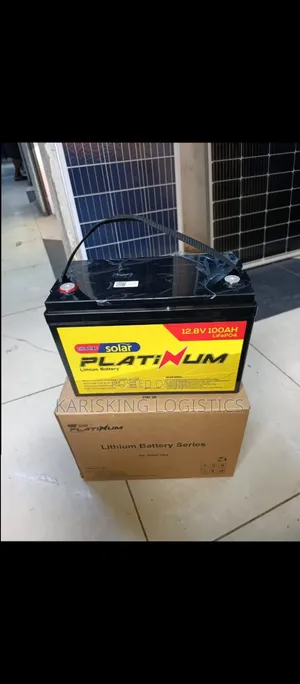 100 Watts Lithium Battery