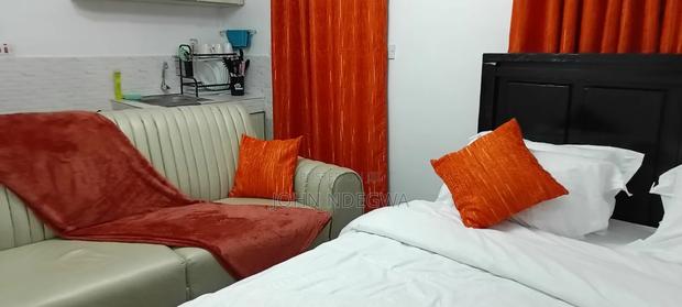 Airbnb Studio in Nanyuki Town - thumbnail 4