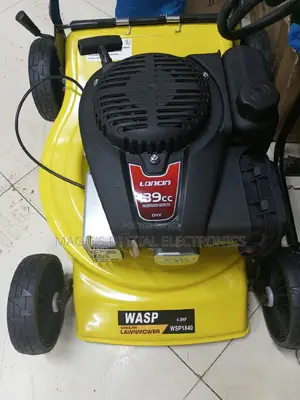 Highly Available 18inch Wasp Petrol Lawn Mower