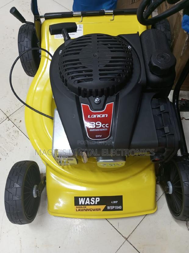 Highly Available 18inch Wasp Petrol Lawn Mower