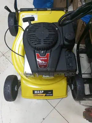 Highly Recommend 18inch Wasp Petrol Lawn Mower