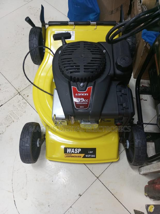 Top Guarantee 18inch Wasp Petrol Lawn Mower