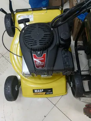 Most Affordable 18inch Wasp Petrol Lawn Mower