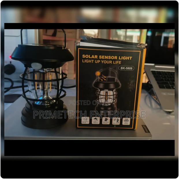 Solar Sensor Light Lamp - main view