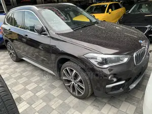 BMW X1 2018 Brown