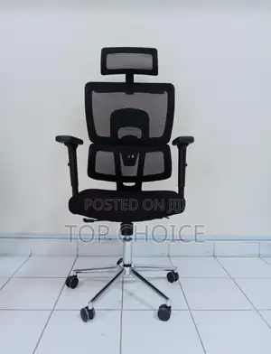 Ergonomic Office Chairs