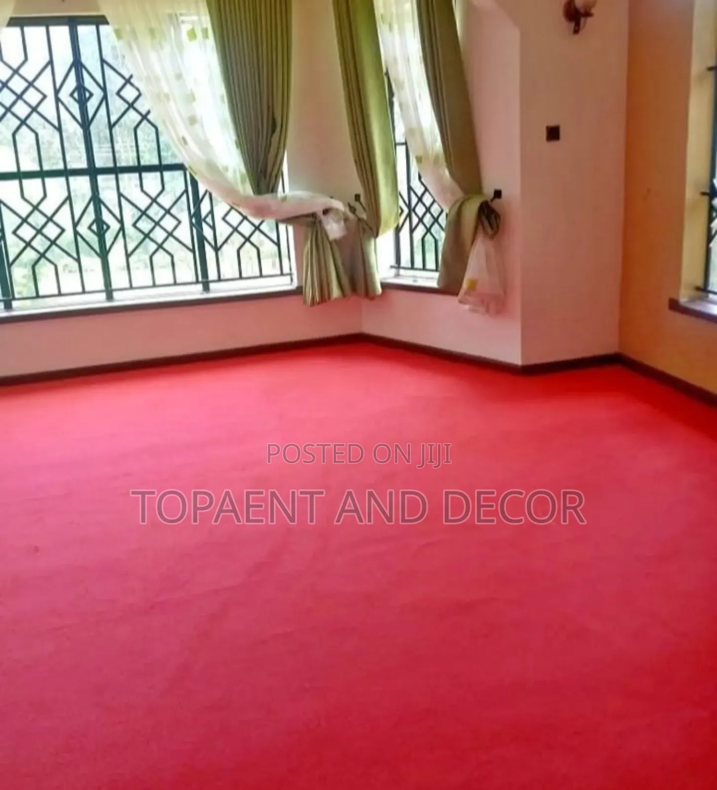 Soft Plush Wall to Wall Warmth and Comfort Carpet