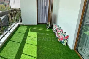 Eco Friendly Artificial Grass Neat and Clean Look