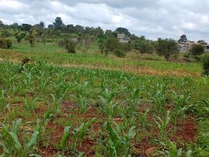 Two Plots Matropi Estate Kiambu - main view