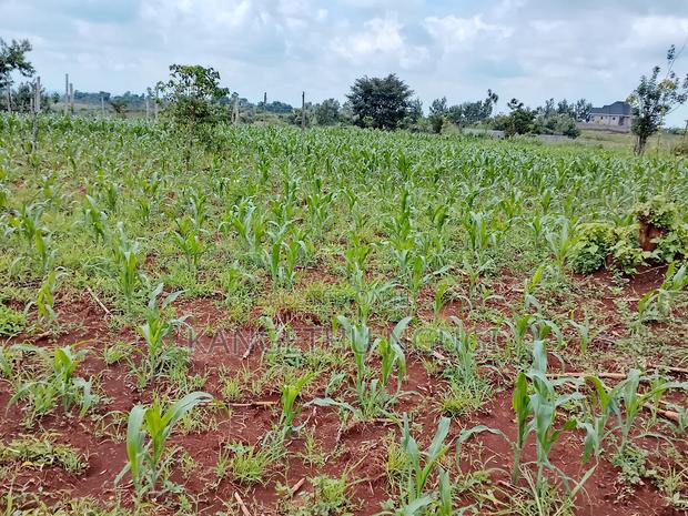 Two Plots Matropi Estate Kiambu - thumbnail 2